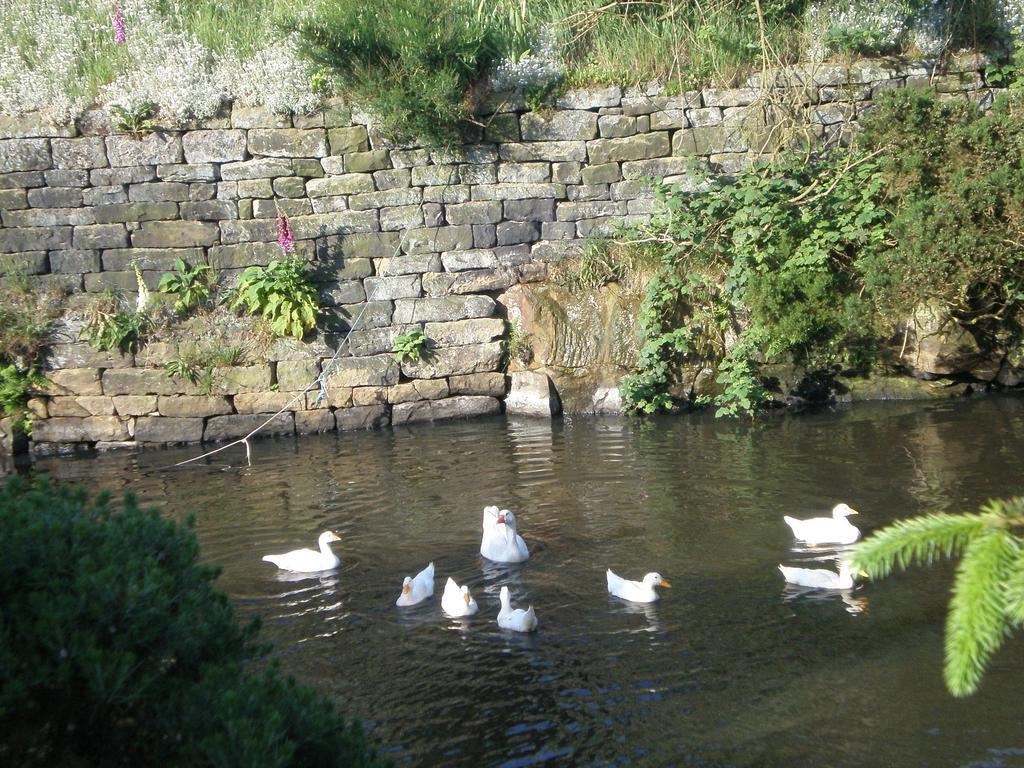 Smugglers Rock Bed&Breakfast Ravenscar Eksteriør billede